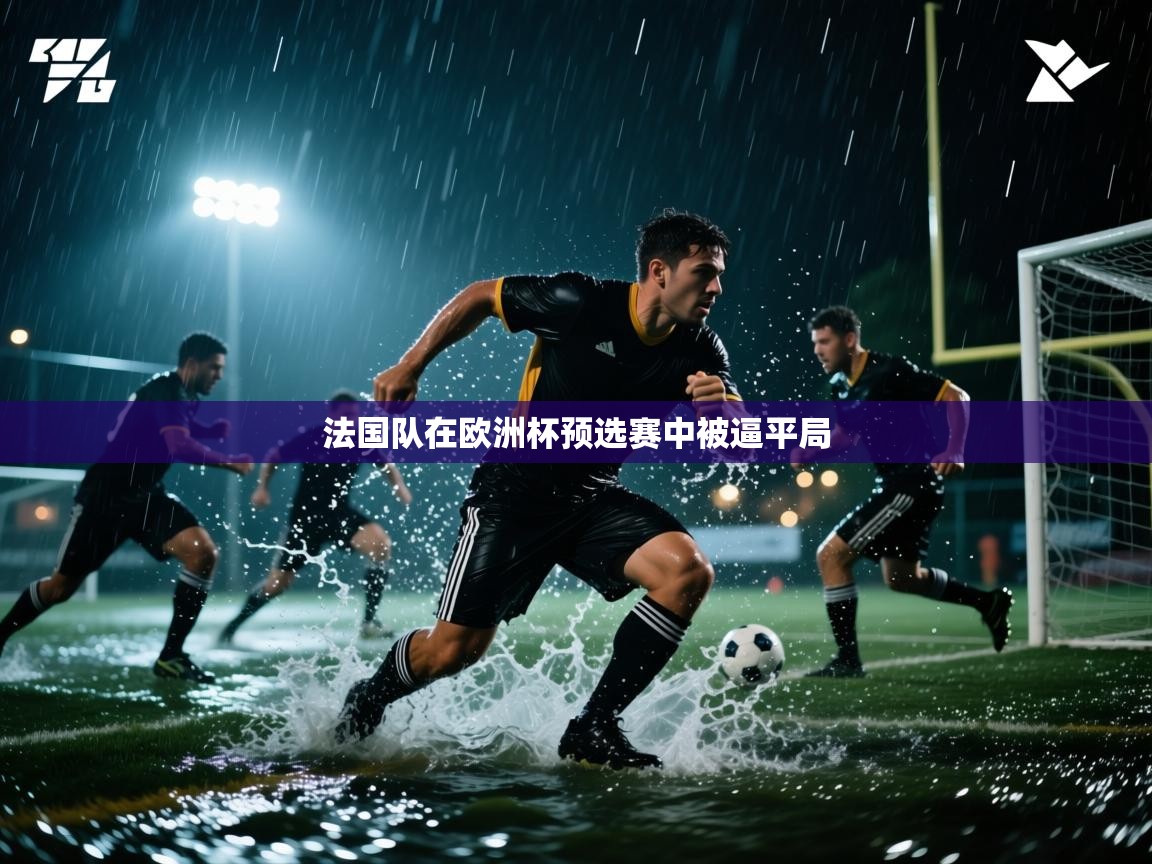 法国队在欧洲杯预选赛中被逼平局  第2张