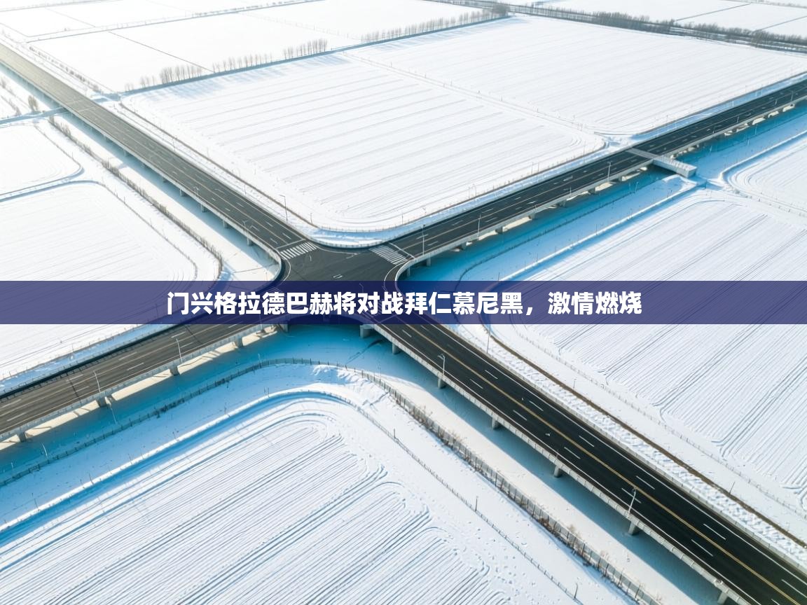 门兴格拉德巴赫将对战拜仁慕尼黑，激情燃烧  第2张