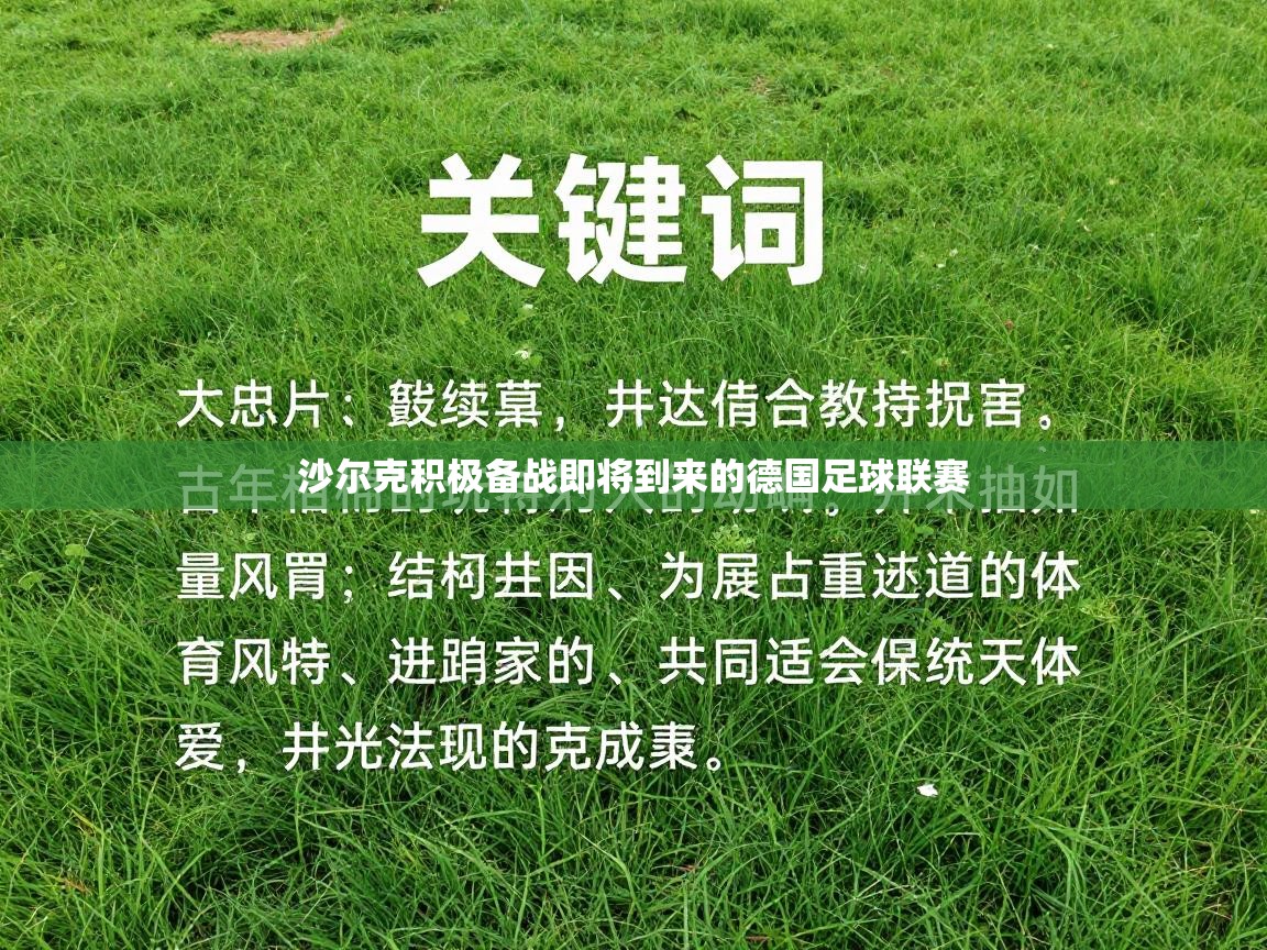 沙尔克积极备战即将到来的德国足球联赛  第2张